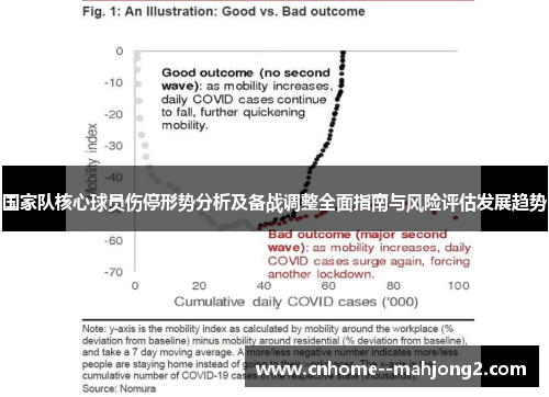 国家队核心球员伤停形势分析及备战调整全面指南与风险评估发展趋势